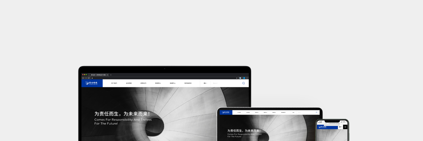 沧州明珠塑料股份有限公司官网网站0-素马设计作品